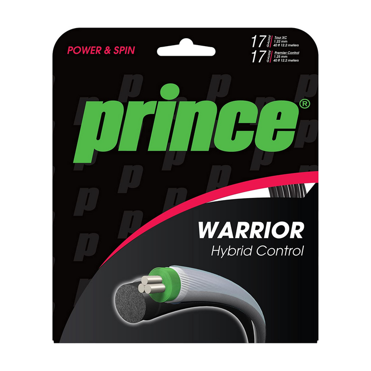 Prince Warrior Hybrid Control